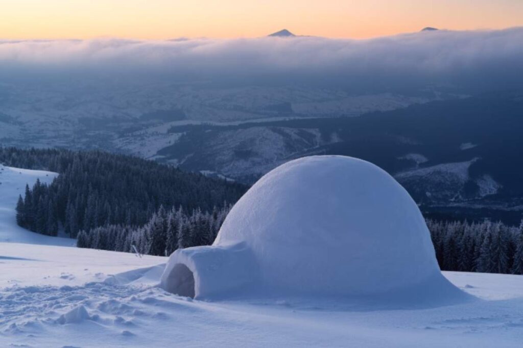 Hotel igloo