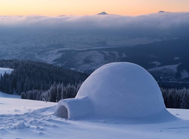 Hotel igloo