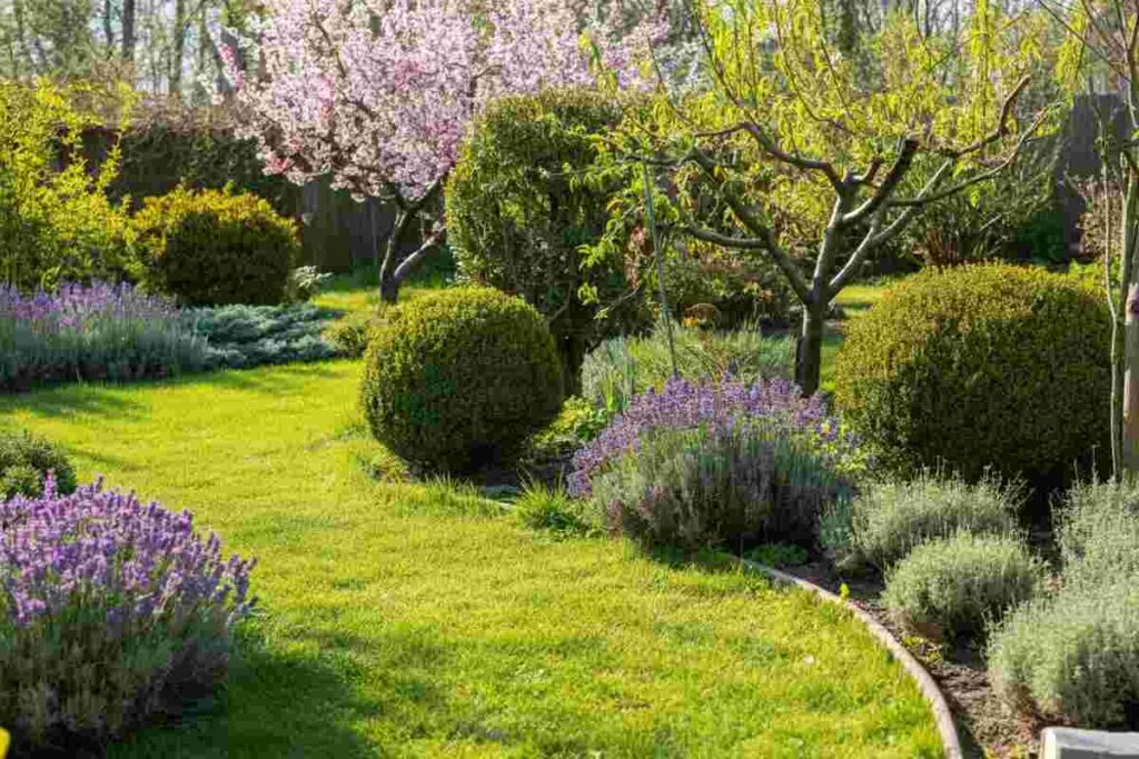 Potatura di marzo: guida alle piante, alberi da frutto ed erbe aromatiche da curare