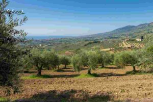 Scossa di terremoto in Calabria: magnitudo 3.4 avvertita a Catanzaro e Vibo